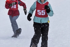 SnowShoeingAriel